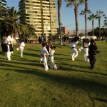 Chile Segovia February 2016 6