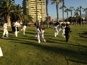 Chile Segovia February 2016 6