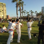 Chile Segovia February 2016 7