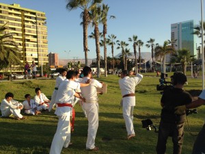 Chile Segovia February 2016 7