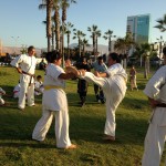 Chile Segovia February 2016 9