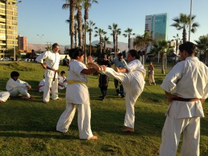 Chile Segovia February 2016 9