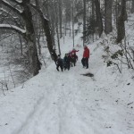 Croatia Sekelj February 2016 1