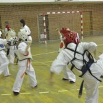 Croatia Sekelj February 2016 13