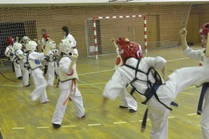 Croatia Sekelj February 2016 13