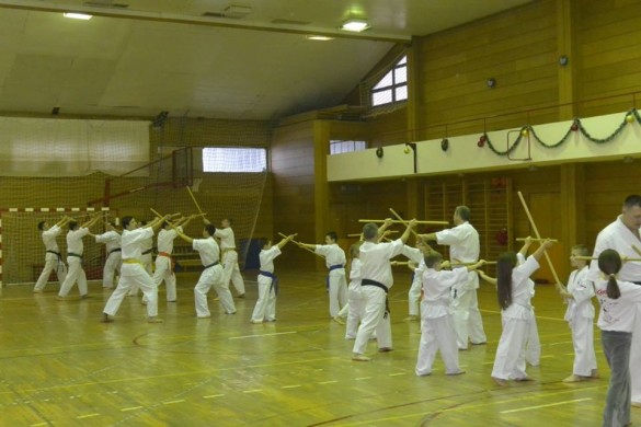 Croatia Sekelj February 2016 6