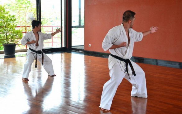 Indonesia Purnama February 2016 1