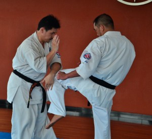 Indonesia Purnama February 2016 12