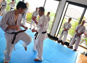 Indonesia Purnama February 2016 5