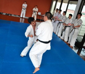 Indonesia Purnama February 2016 7