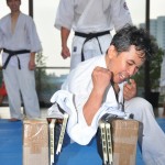 Indonesia Purnama February 2016 8