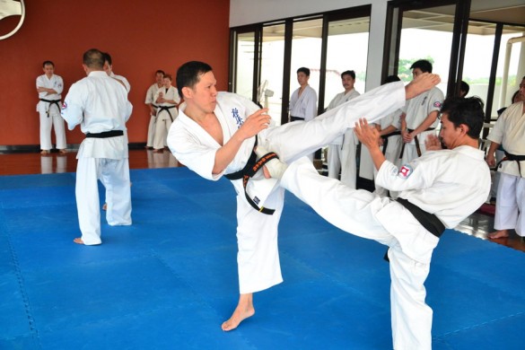 Indonesia Purnama February 2016 9