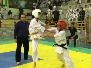 Iran Ghasemi February 2016 13