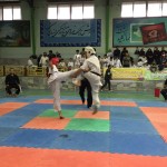 Iran Ghasemi February 2016 6