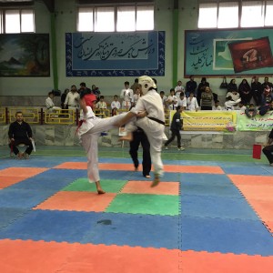 Iran Ghasemi February 2016 6