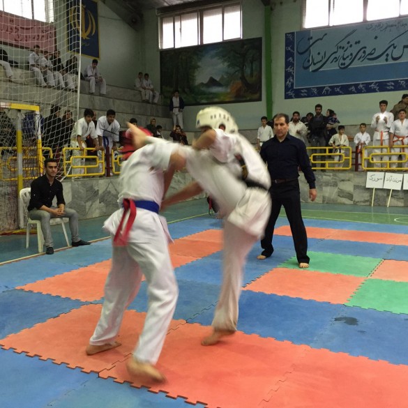 Iran Ghasemi February 2016 7