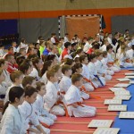 Croatia Sekelj March 2016 3