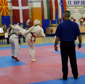 Croatia Sekelj March 2016 7