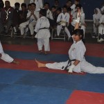 Pakistan Butt March 2016 12