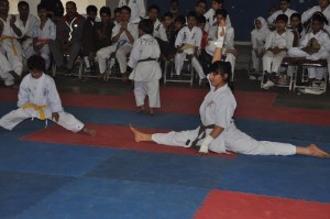 Pakistan Butt March 2016 12