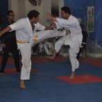 Pakistan Butt March 2016 3