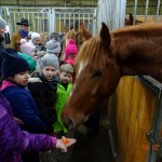 Poland Robert March 2016 25