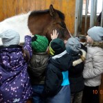 Poland Robert March 2016 37