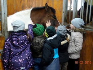 Poland Robert March 2016 37