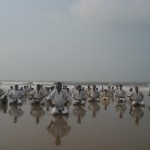 India Das June 2014 8