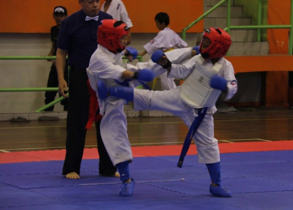 Indonesia Setia Jun 2016 8