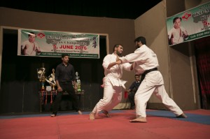 Pakistan Butt Jun 2016 10