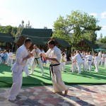 Ukraine Ivan June 2016 13