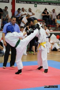 Spain Rufo June 2016 11