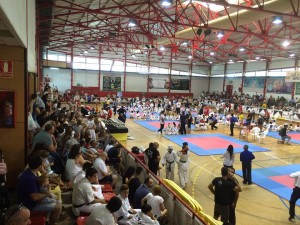 Spain Rufo June 2016 30