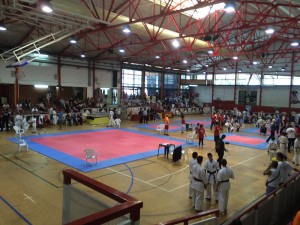 Spain Rufo June 2016 5