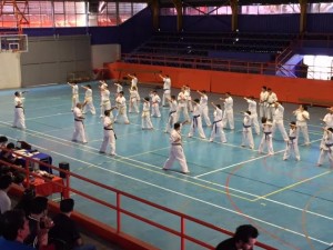 chile-segovia-october-2016-10