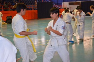 chile-segovia-october-2016-18