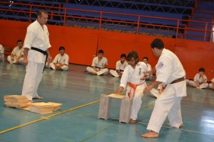 chile-segovia-october-2016-22