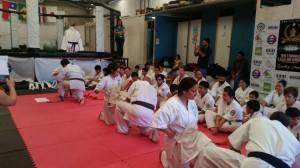 chile-segovia-october-2016-4