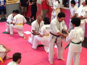 chile-segovia-october-2016-9