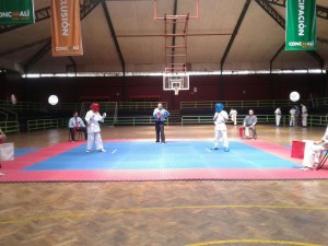 chile-toledo-october-2016-1