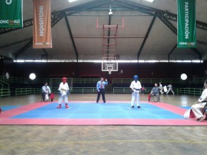 chile-toledo-october-2016-10