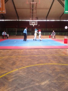 chile-toledo-october-2016-17