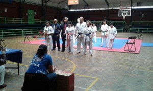 chile-toledo-october-2016-25