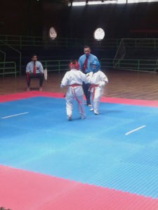 chile-toledo-october-2016-5