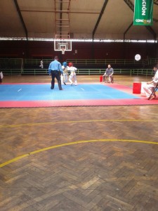 chile-toledo-october-2016-6