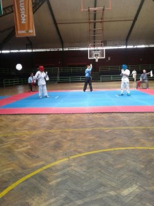 chile-toledo-october-2016-7