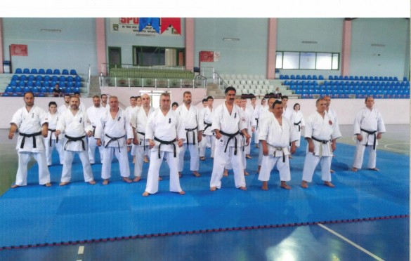 Turkey Rahim July 2017 1
