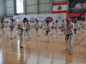 Seminar Lebanon 18