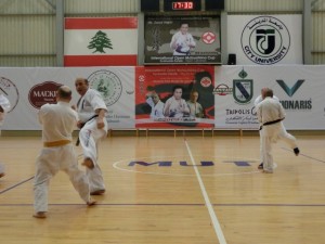 Seminar Lebanon 22